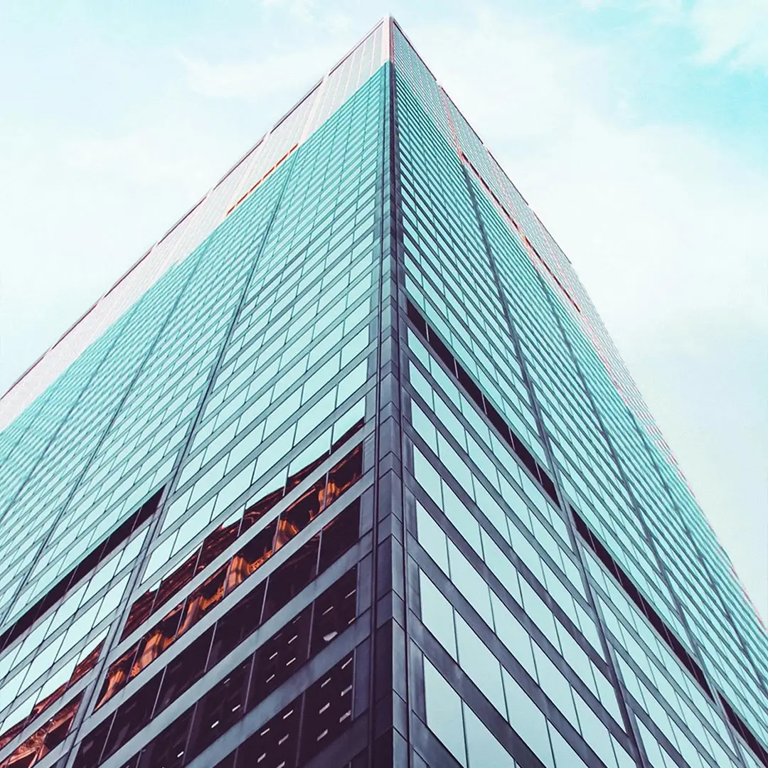 WG Consulting Global Team